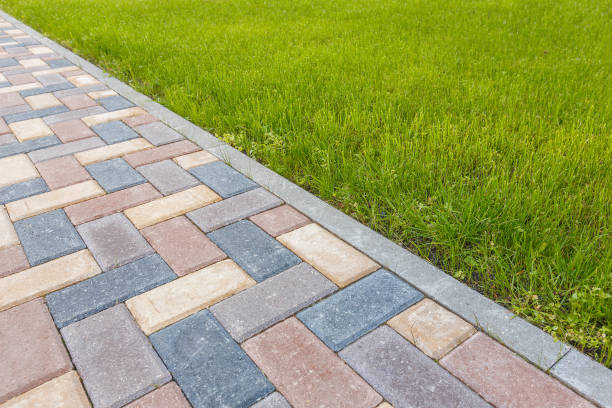 Best Driveway Paving Contractor  in Biggs, CA